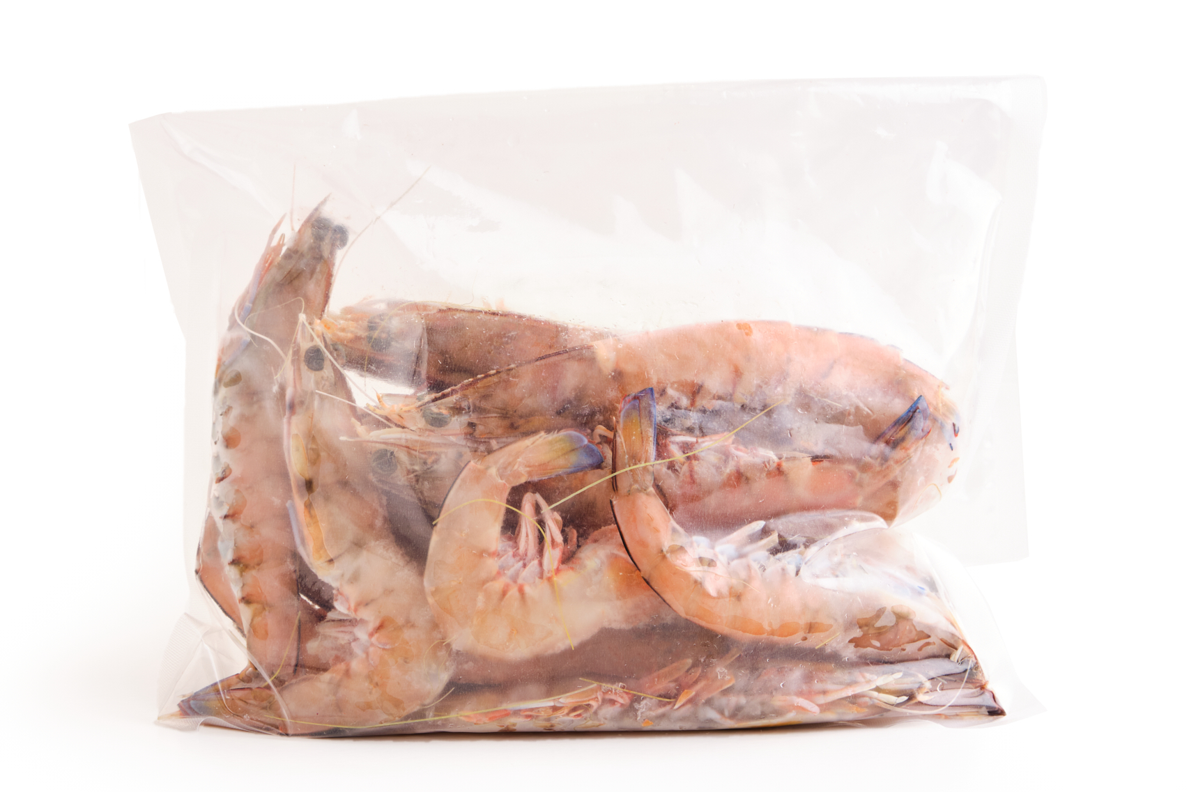 Frozen Msc Spencer Gulf U10 King Prawns 1kg Hyatt Singapore Official E Store